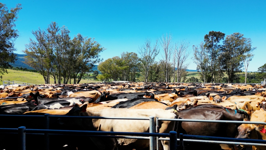 0 Bedroom Property for Sale in Stutterheim Rural Eastern Cape